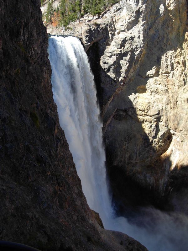 Yellowstone Adventures - Lower Falls from Uncle Tom's Trail