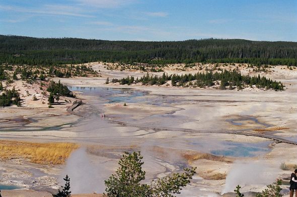 Yellowstone Adventures - Norris Geyser Basin