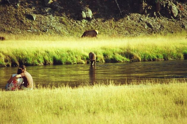 Yellowstone Adventures - Sharing a beautiful day in Yellowstone