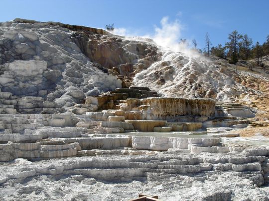 Yellowstone Adventures - Terraces at Mammoth Hot Springs