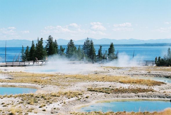 Yellowstone Adventures - Trail at West Thumb Geyser Basin