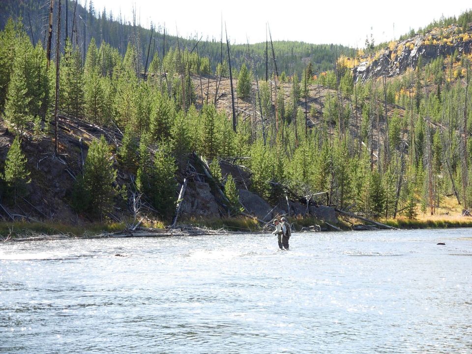 Yellowstone Fly Fishing - Yellowstone National Park