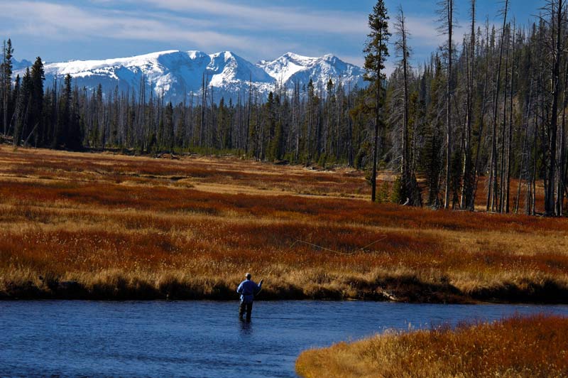 Yellowstone Fly Fishing - Yellowstone National Park 1