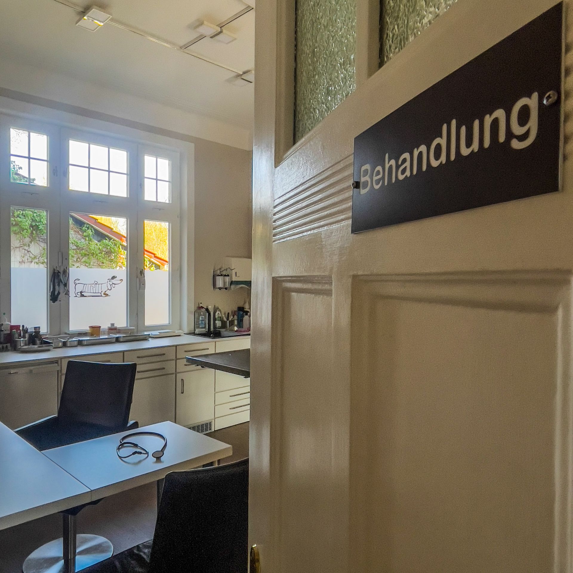 Tierarztpraxis Simon, Hamburg,  Rahlstedt, Behandlung