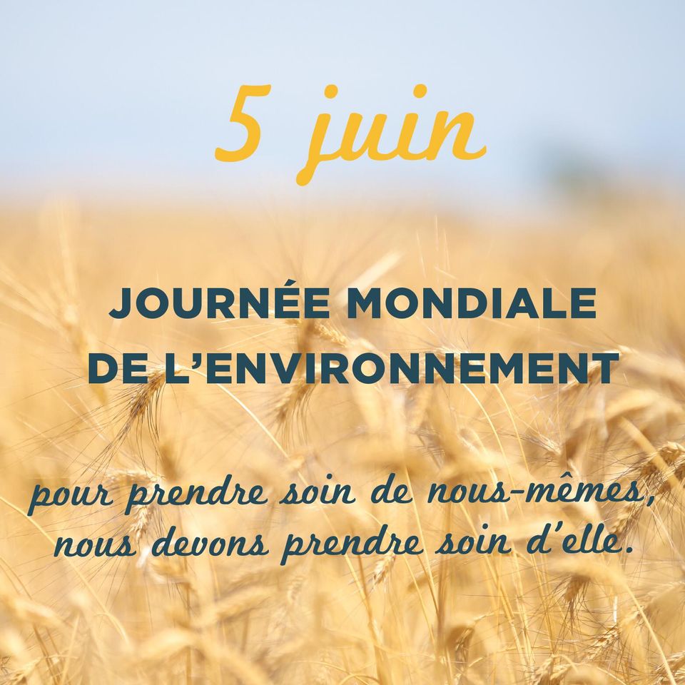 Le 5 Juin: Journée Mondiale De L'environnement