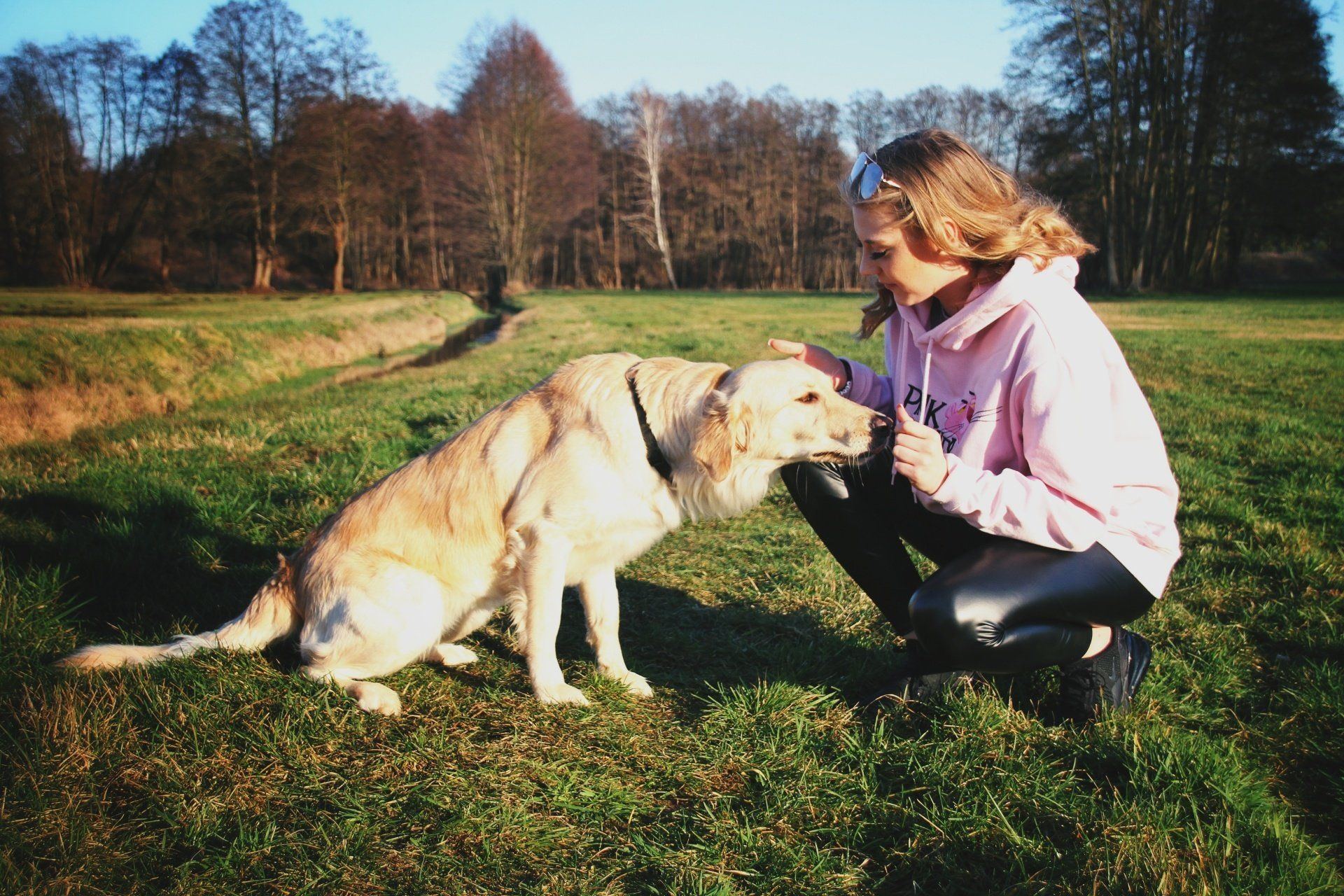 Hund mit Frau