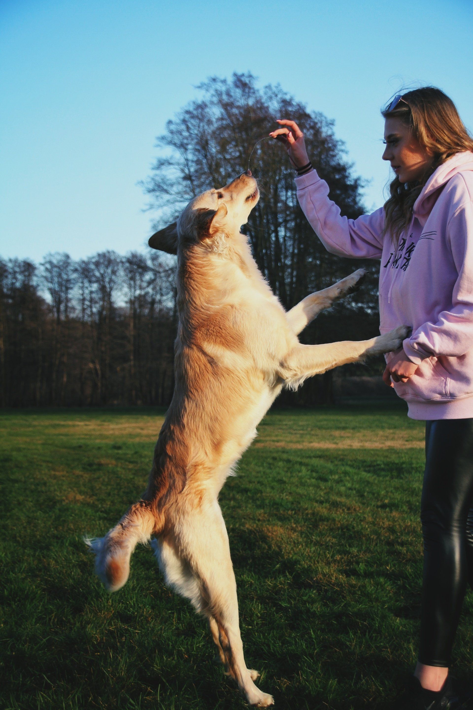 Hund mit Herrchen