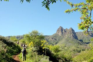 Gran Canaria things to do