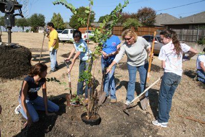 volunteers planting trees on the trail
