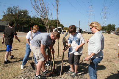 volunteers planting trees
