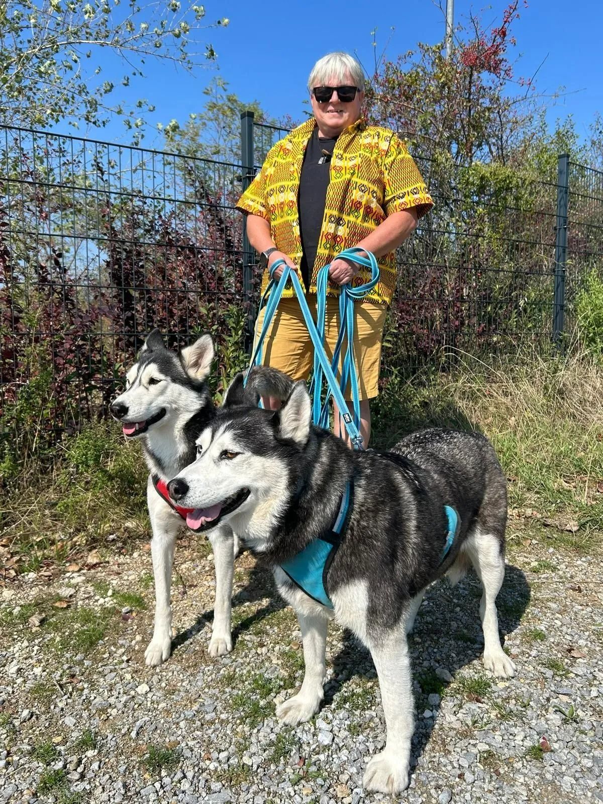 Hundeschule Frauenkirchen
Hundeschule Seewinkel
Hundeschule Burgenland
Hundeschule Nordburgenland
Hundeschule Bezirk Neusiedl am See
Hundetraining Frauenkirchen
Hundetraining Seewinkel
Hundetraining Burgenland
Hundetrainer Frauenkirchen
Hundetrainer Seewinkel
Hundetrainer Burgenland
Hundesportverein Frauenkirchen
Hundesportverein Seewinkel
Hundesportverein Burgenland
Freizeitwuffel
Freizeitwuffel Frauenkirchen
Freizeitwuffel Seewinkel
Alltagstraining Hund
Alltagstraining Frauenkirchen
Social Walk
Social Walk Burgenland
Maulkorbberatung
Maulkorbberatung Frauenkirchen
Maulkorbberatung Seewinkel
Maulkorbberatung Burgenland
mobiles Hundetraining
mobiles Hundetraining Burgenland
mobiles Hundetraining Seewinkel
mobiles Hundetraining Bruck an der Leitha
Verhaltensberatung Hund
Verhaltensberatung Burgenland
Verhaltensberatung Seewinkel
Welpenkurs Frauenkirchen
Welpenschule Frauenkirchen
Welpenschule Seewinkel
Welpentraining
Junghundetraining
Seniorenhundetraining
Longieren mit Hund
DegiQuest
Mobility Parcours Hund
Mantrailing
Mantrailing Burgenland
Mantrailing Seewinkel
positive Verstärkung
tierschutzqualifiziertes Hundetraining