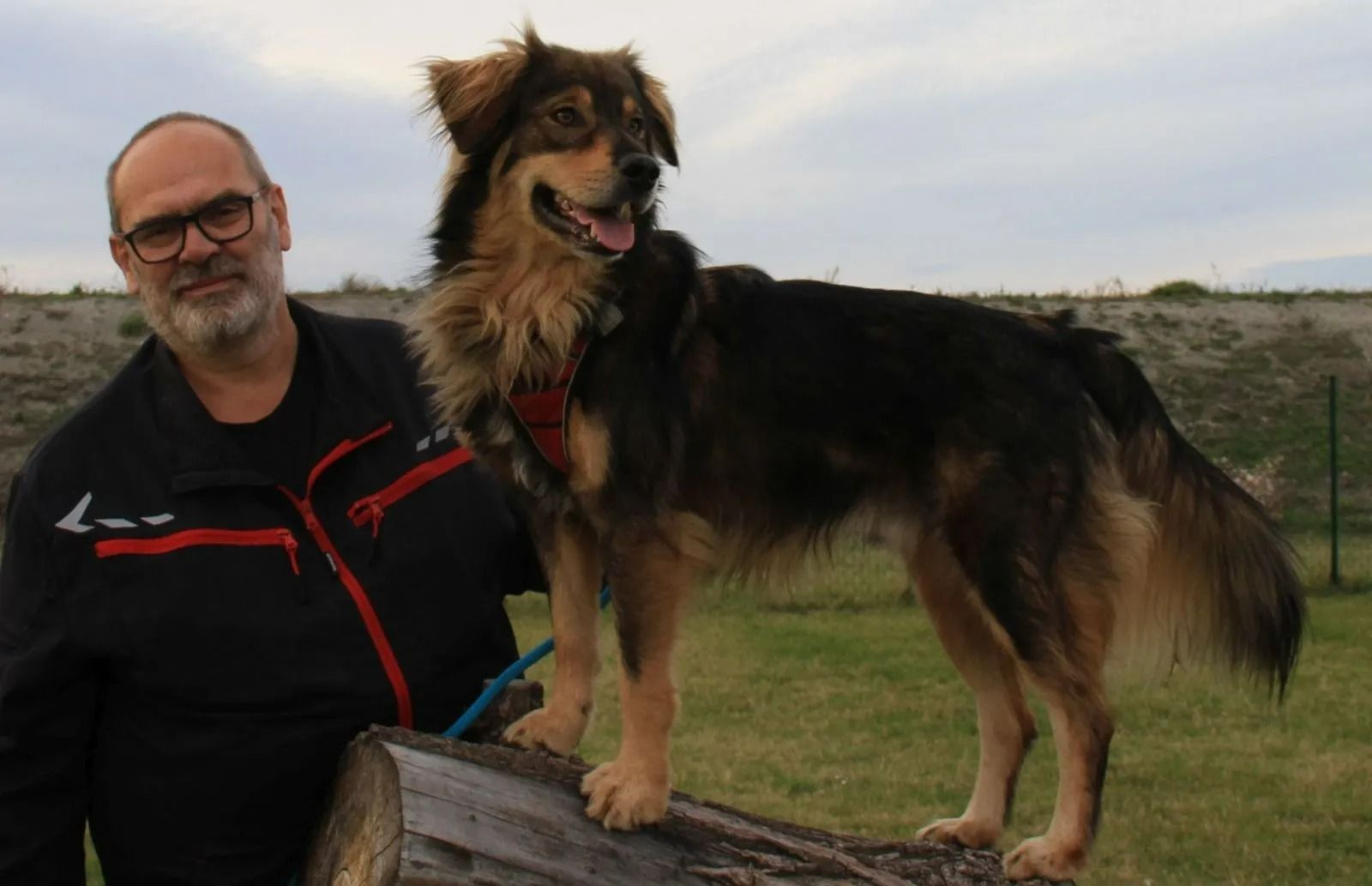 Mantrailing
Pettrailing
Mantrailing Frauenkirchen
Mantrailing Seewinkel
Mantrailing Frauenkirchen
Mantrailing Nordburgenland
Hundeschule Seewinkel
Hundeschule im Nordburgenland
