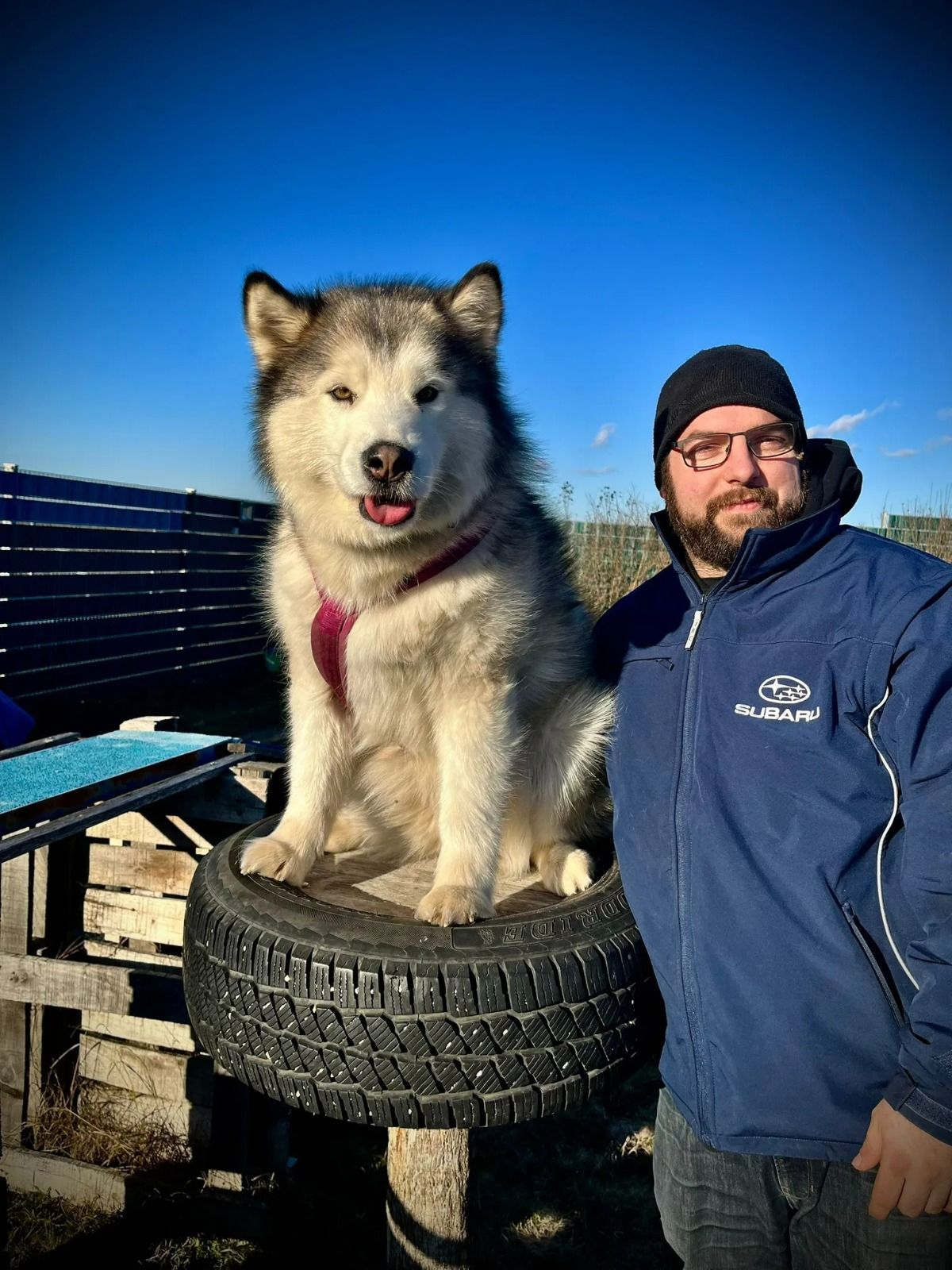Hundeschule Frauenkirchen
Hundeschule Seewinkel
Hundeschule Burgenland
Hundeschule Nordburgenland
Hundeschule Bezirk Neusiedl am See
Hundetraining Frauenkirchen
Hundetraining Seewinkel
Hundetraining Burgenland
Hundetrainer Frauenkirchen
Hundetrainer Seewinkel
Hundetrainer Burgenland
Hundesportverein Frauenkirchen
Hundesportverein Seewinkel
Hundesportverein Burgenland
Freizeitwuffel
Freizeitwuffel Frauenkirchen
Freizeitwuffel Seewinkel
Alltagstraining Hund
Alltagstraining Frauenkirchen
Social Walk
Social Walk Burgenland
Maulkorbberatung
Maulkorbberatung Frauenkirchen
Maulkorbberatung Seewinkel
Maulkorbberatung Burgenland
mobiles Hundetraining
mobiles Hundetraining Burgenland
mobiles Hundetraining Seewinkel
mobiles Hundetraining Bruck an der Leitha
Verhaltensberatung Hund
Verhaltensberatung Burgenland
Verhaltensberatung Seewinkel
Welpenkurs Frauenkirchen
Welpenschule Frauenkirchen
Welpenschule Seewinkel
Welpentraining
Junghundetraining
Seniorenhundetraining
Longieren mit Hund
DegiQuest
Mobility Parcours Hund
Mantrailing
Mantrailing Burgenland
Mantrailing Seewinkel
positive Verstärkung
tierschutzqualifiziertes Hundetraining