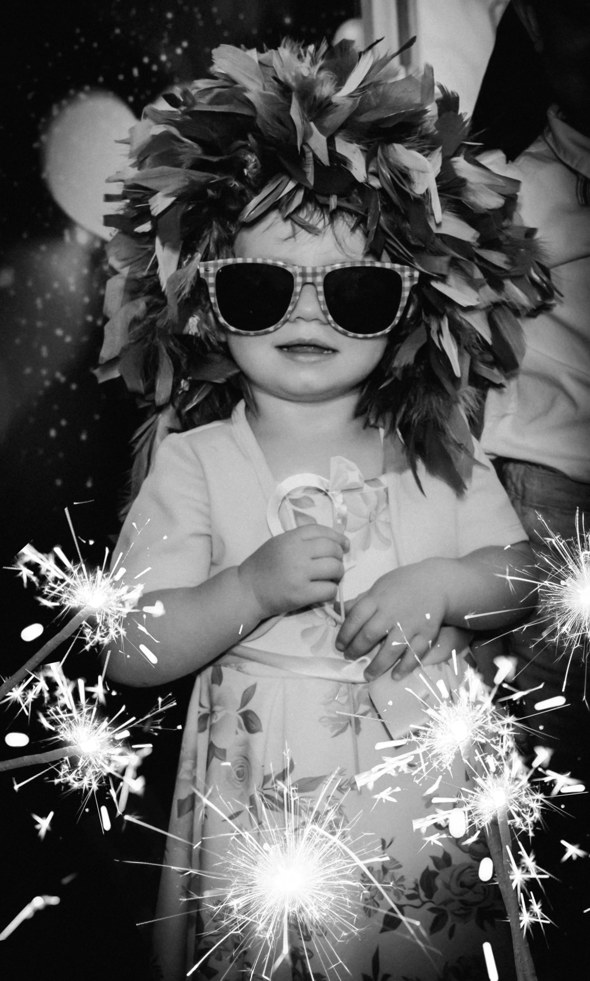 Hochzeitsparty -Hochzeitsfotograf 