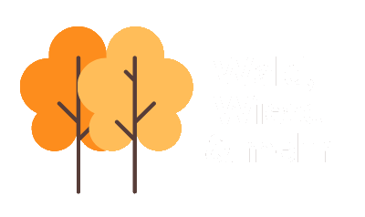 Wald Wiese und mehr - Waldbaden, Achtsamkeit in der Natur, bewegte Gespräche, Walk & Talk - Bonn und Umgebung