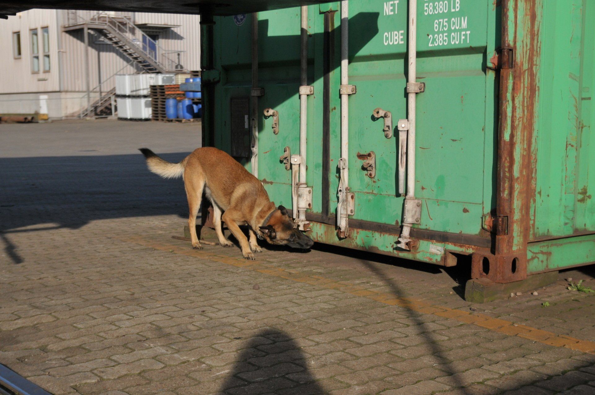 Sprengstoffspürhunde