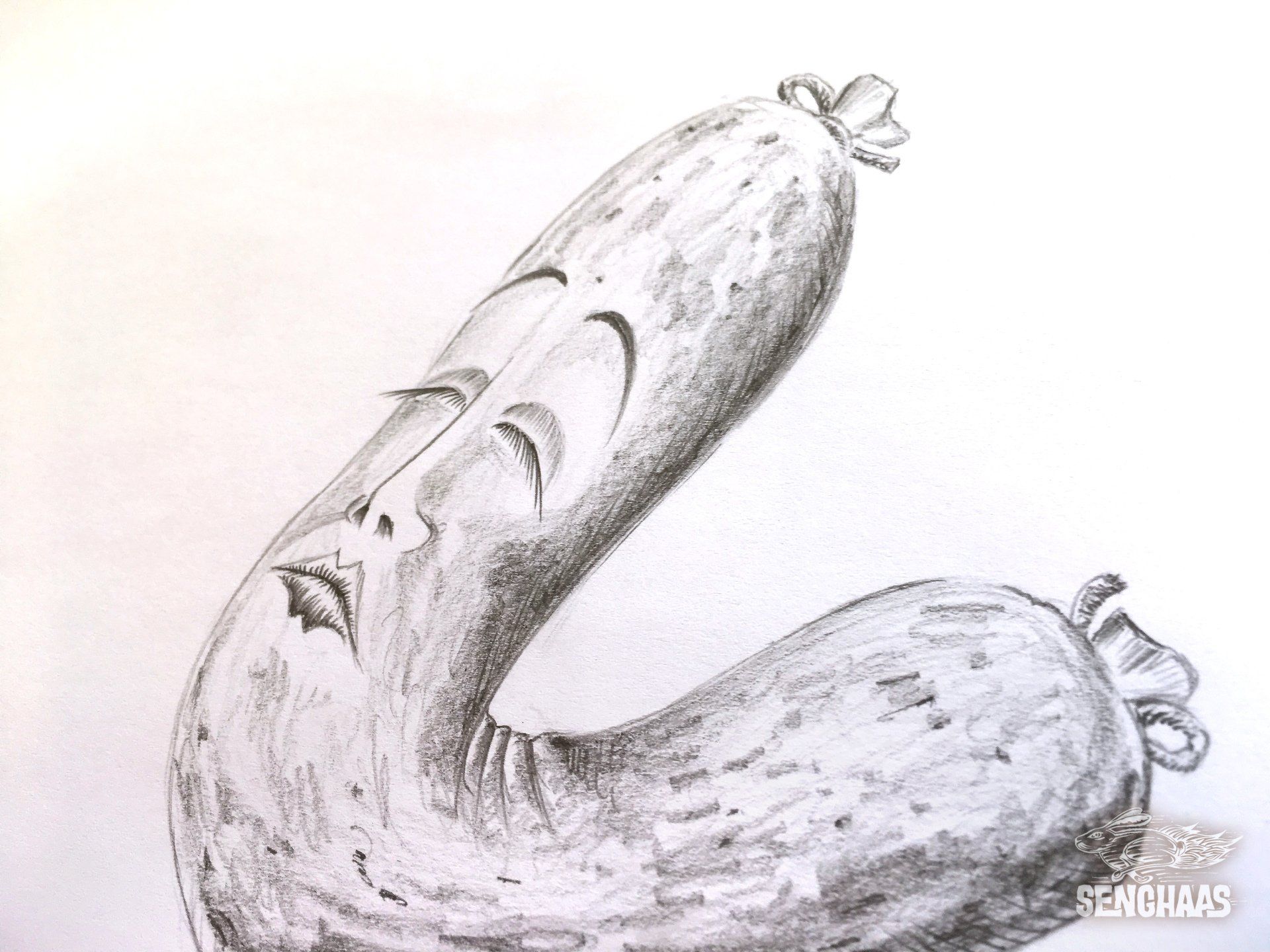 Illustrationen: Jürgen Senghaas