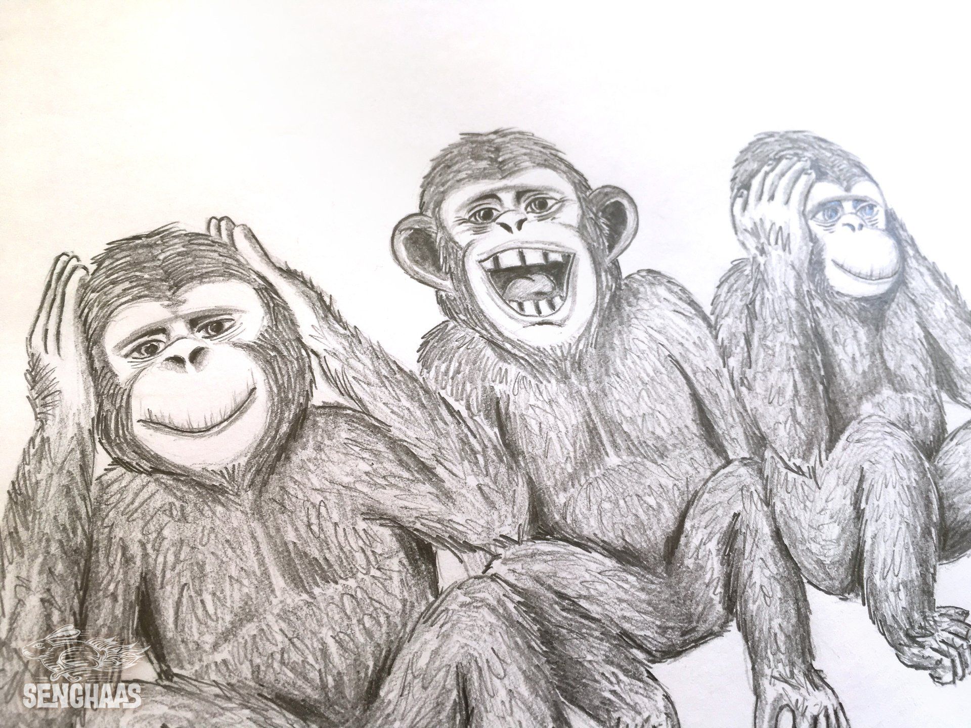 Illustrationen: Jürgen Senghaas