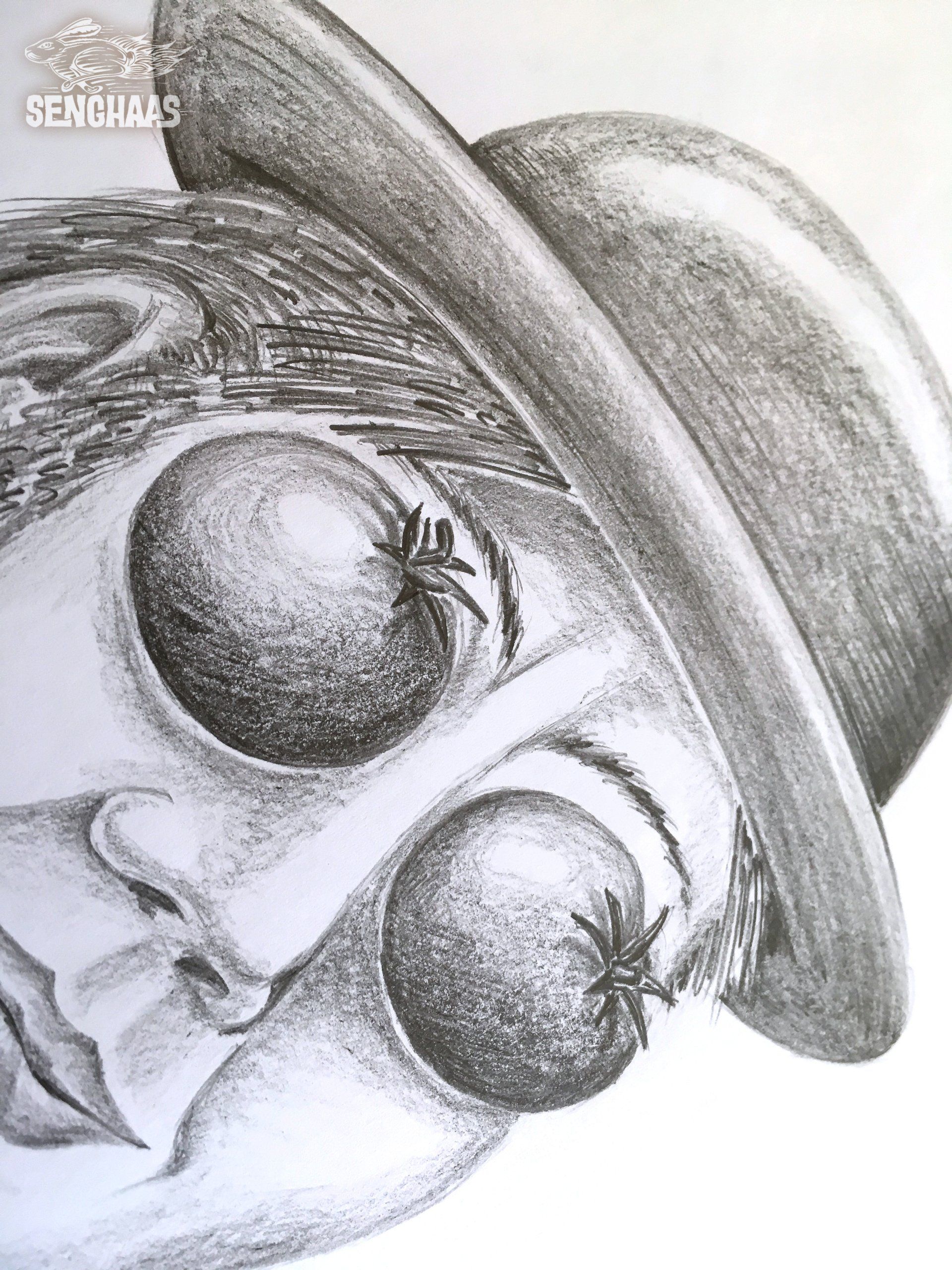 Illustrationen: Jürgen Senghaas