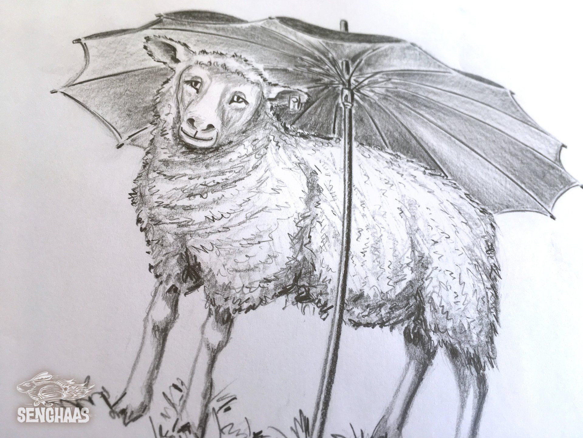 Illustrationen: Jürgen Senghaas