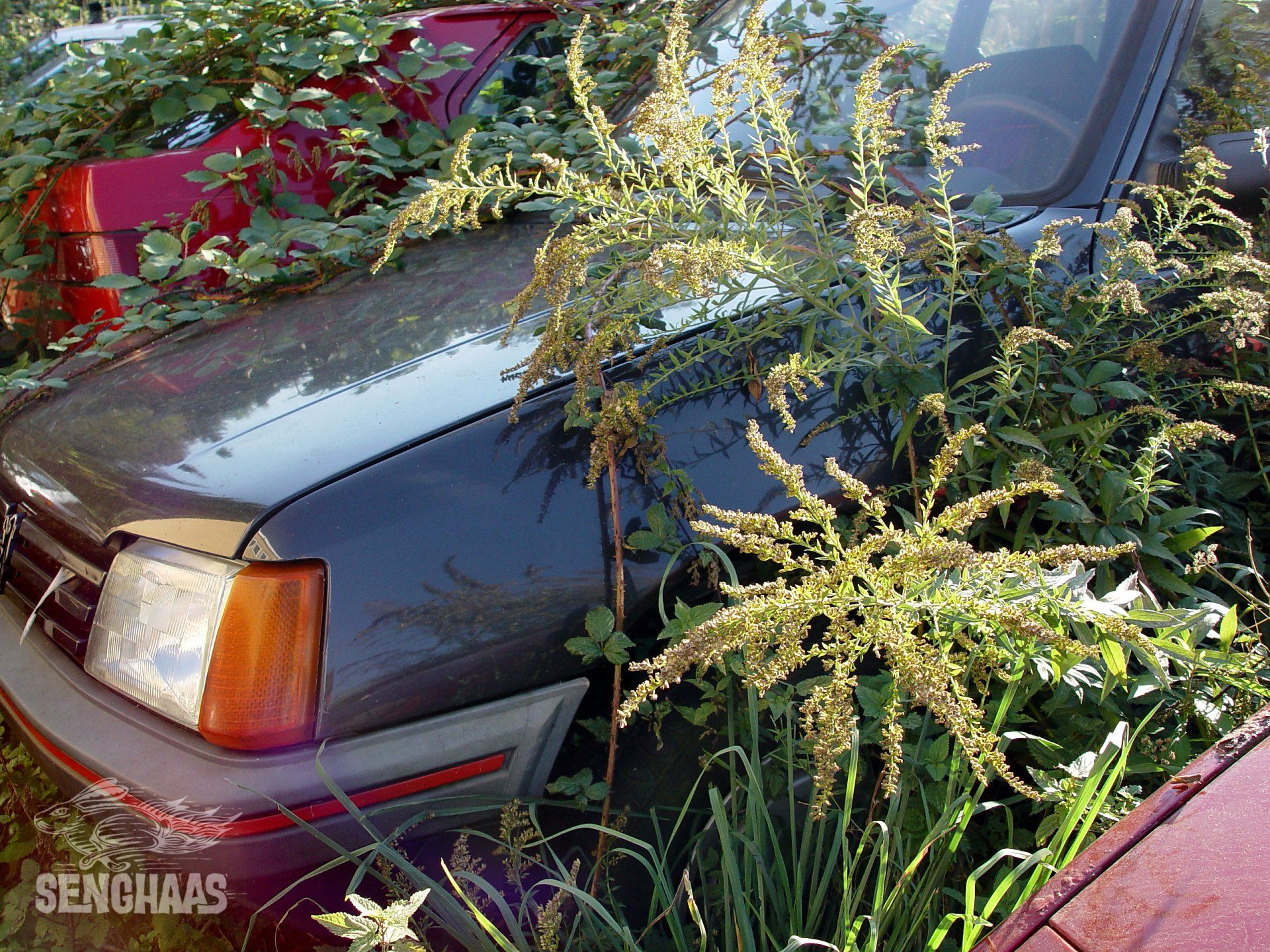 Natur strikes back 3