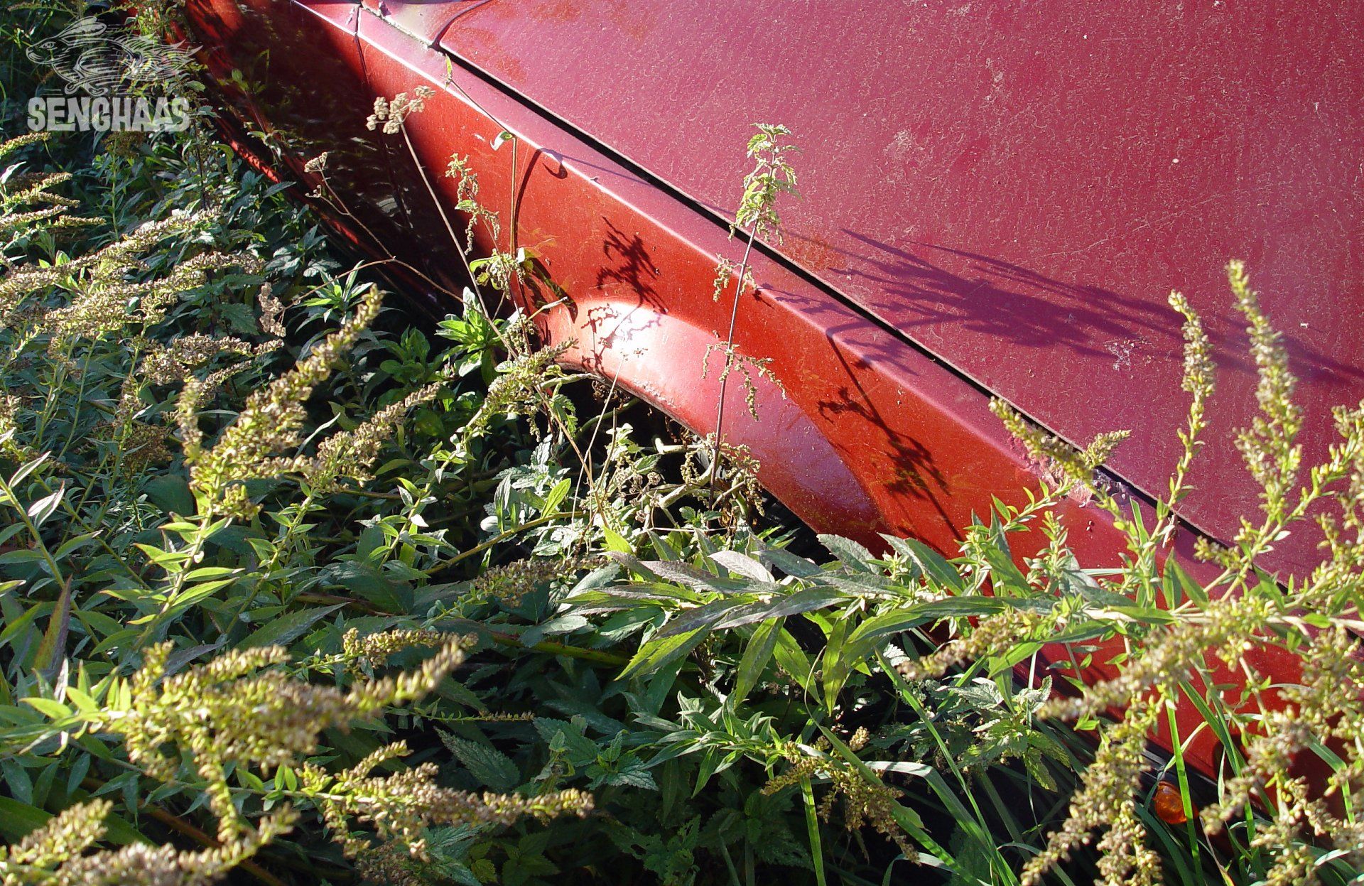 Natur strikes back 2