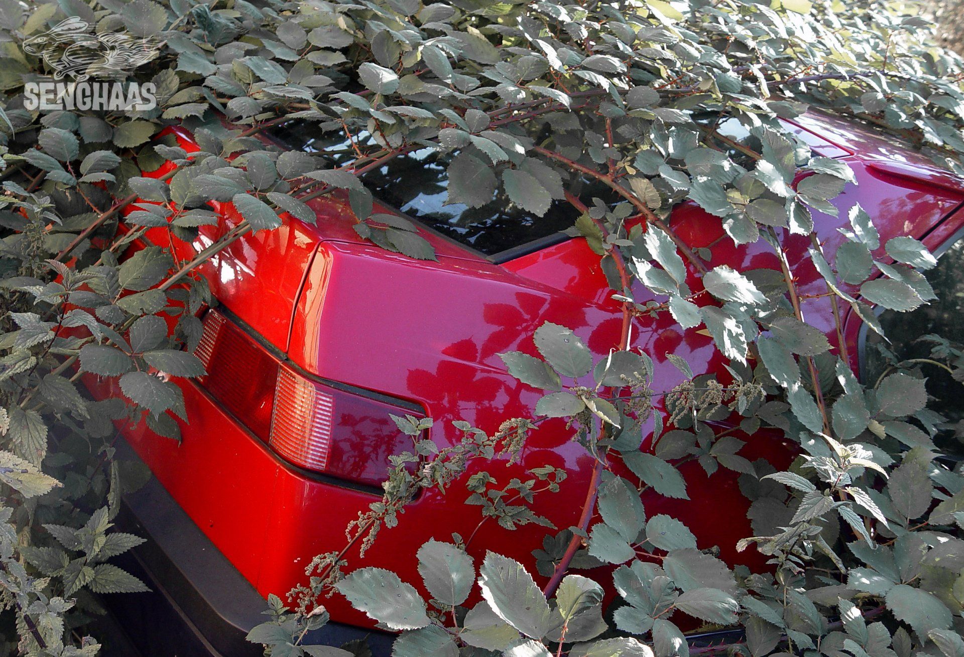 Natur strikes back 1