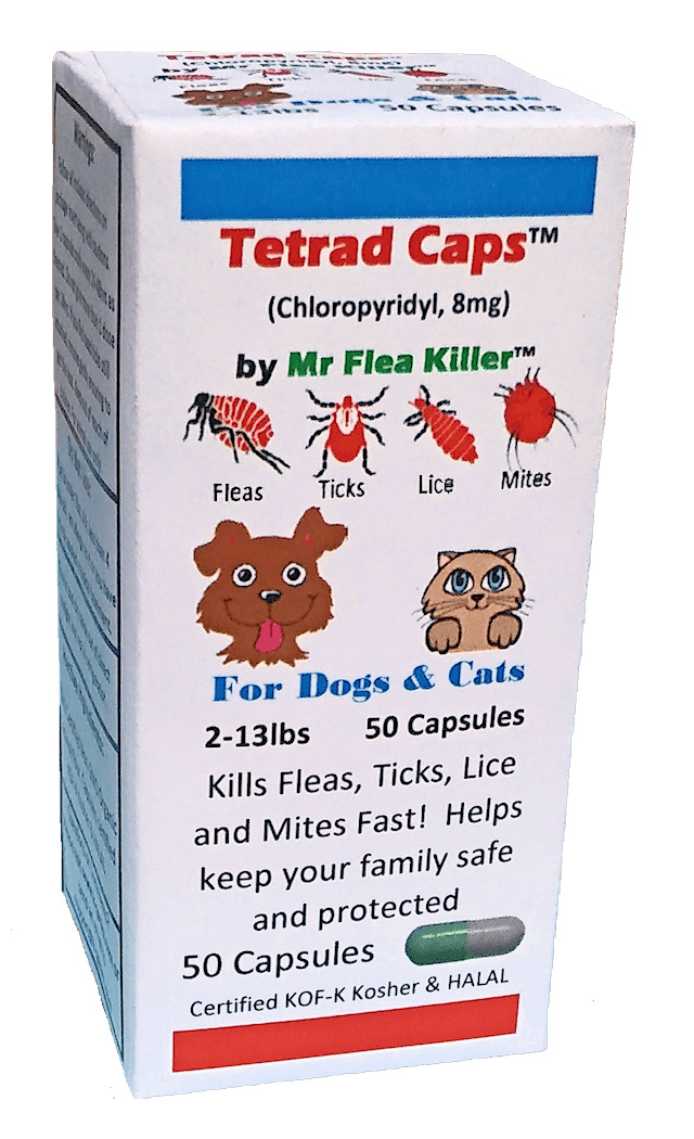 The best for your pets