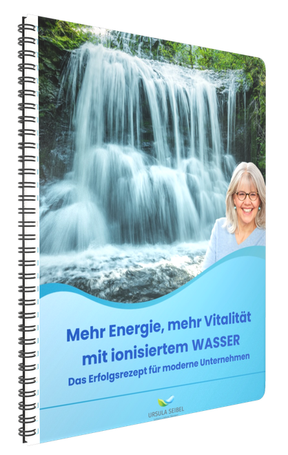 Freebie Ursula Seibel für Unternehmer zum Download