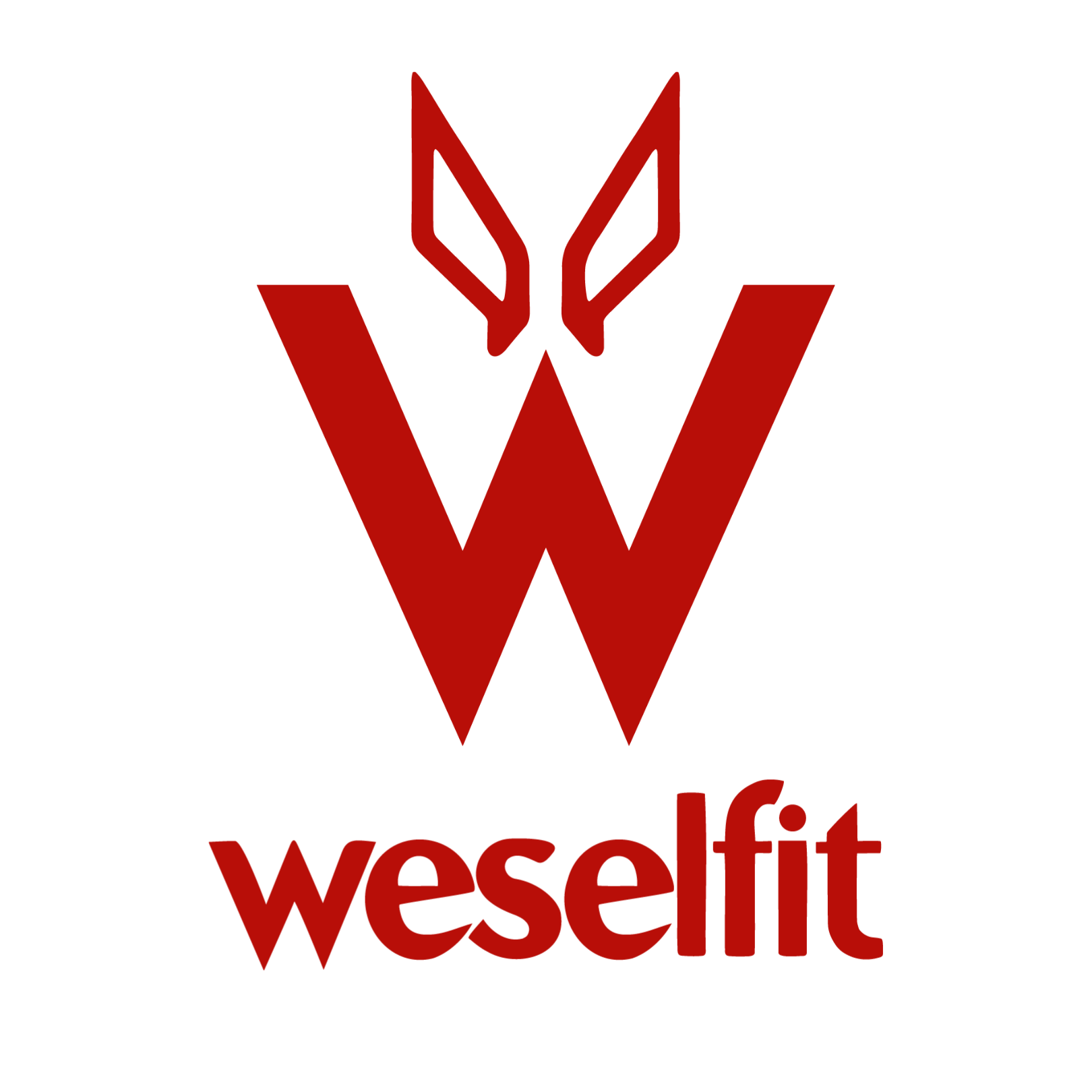 Hülskens Marathon Wesel-Logo clever fit