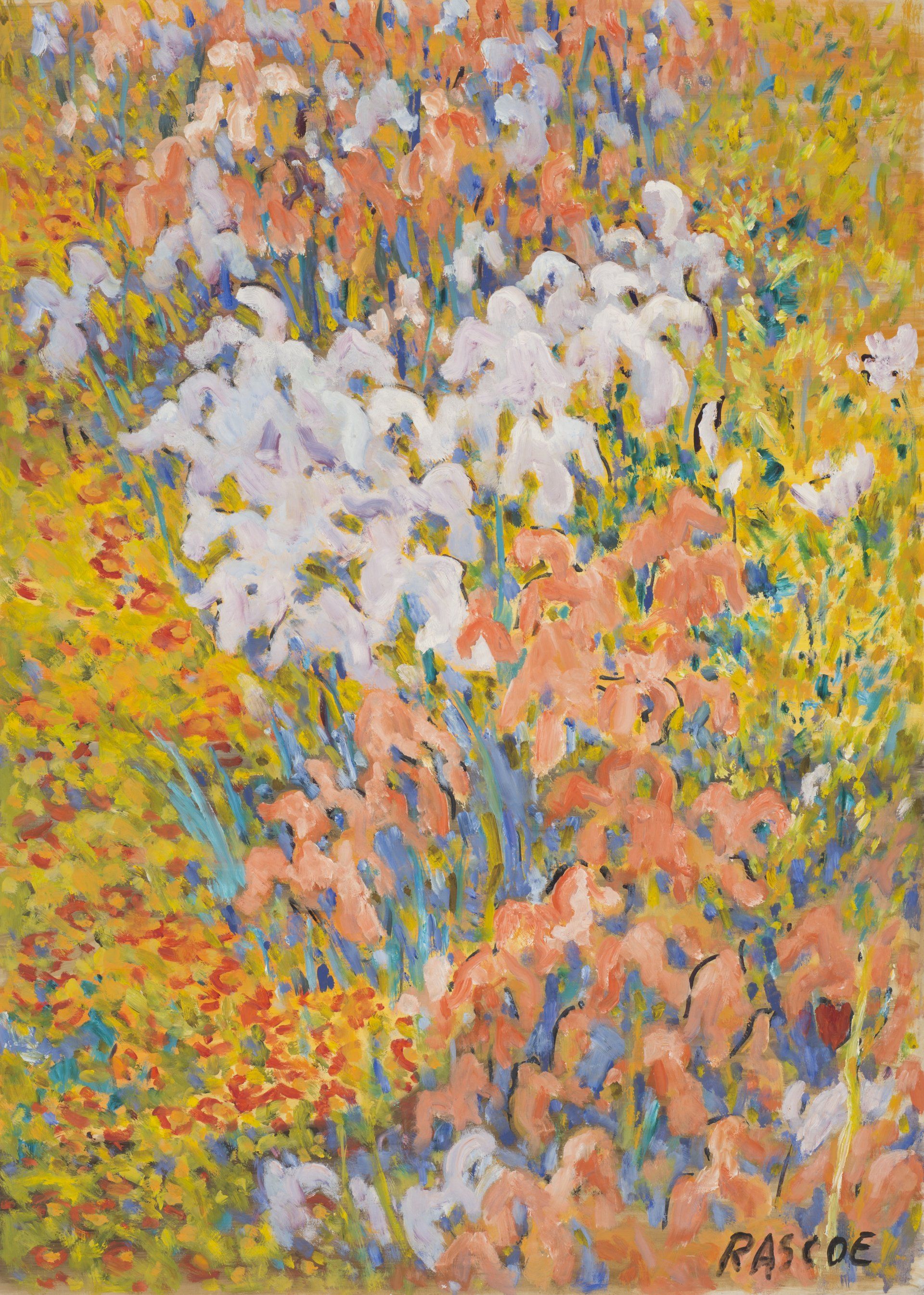White, Orange, and Yellow Irises Stephen Rascoe