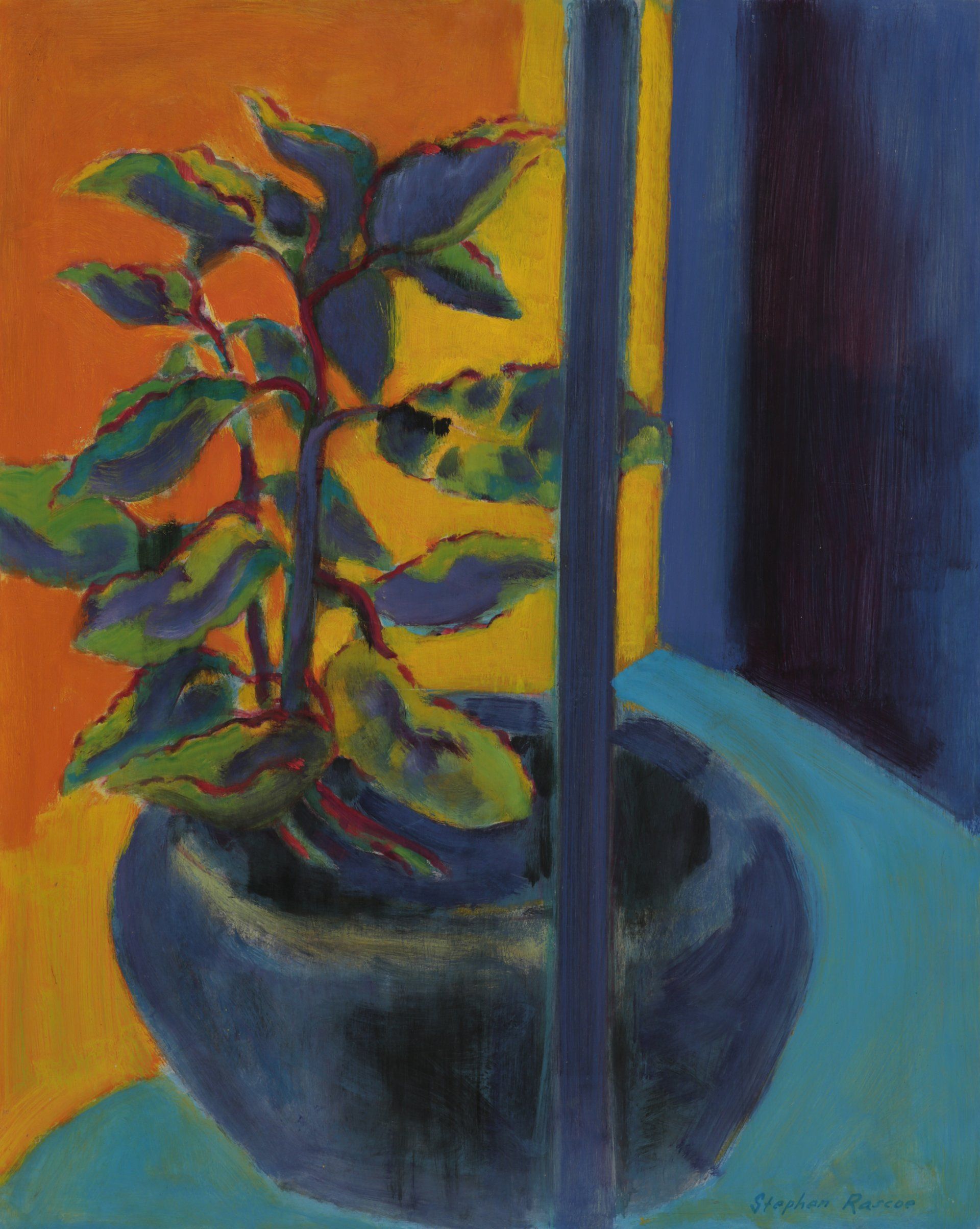 Plant on the Porch Stephen Rascoe