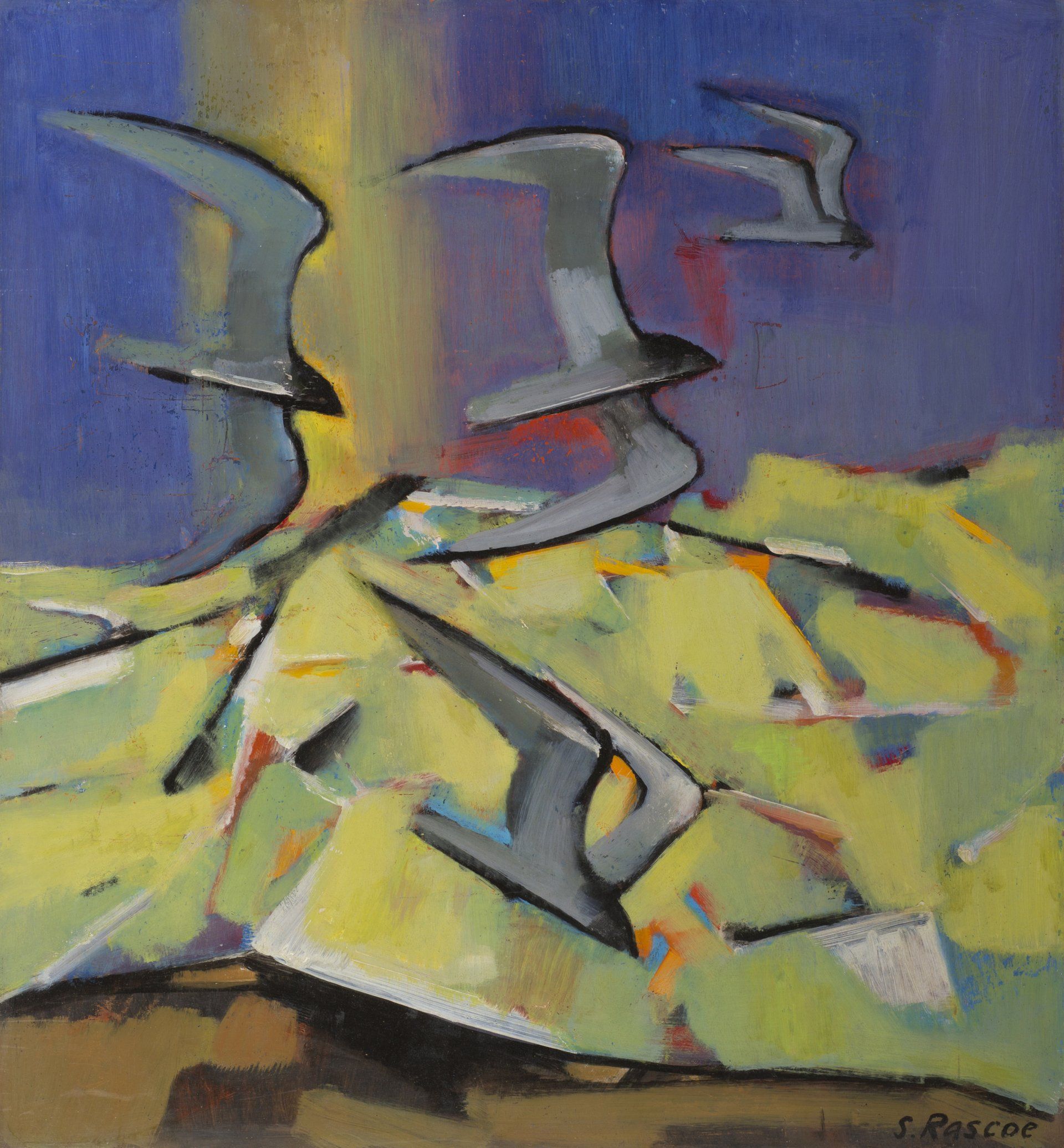 Seagulls Stephen Rascoe