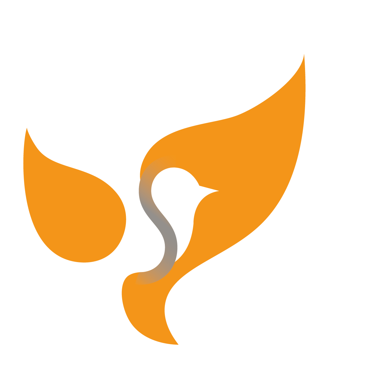 Logo Bildmarke Vogel in Praxis Orange und Grau