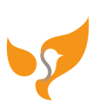 Logo Bildmarke Vogel in Praxis Orange und Grau