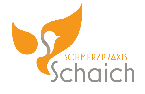 Logo Schmerzpraxis Schaich in Praxis Orange und Grau