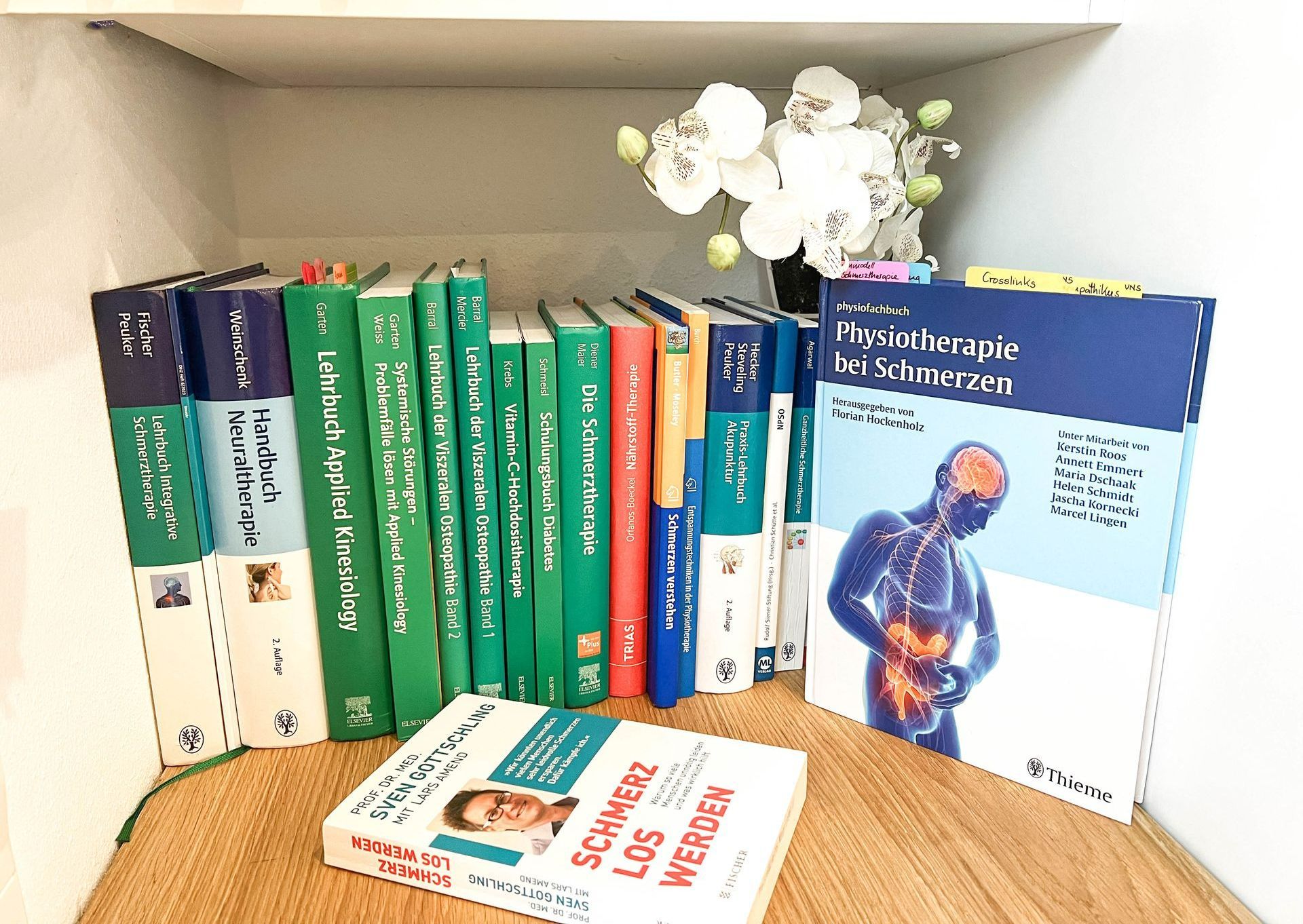 Praxisraum Ausschnitt mit Lehrbüchern über Schmerztherapie