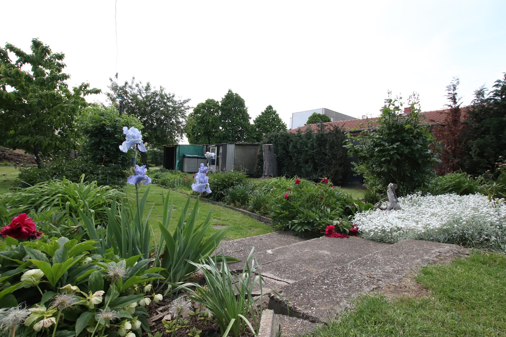 Haus mit Gewerbeeinheit und großem Garten im Neustädter Feld