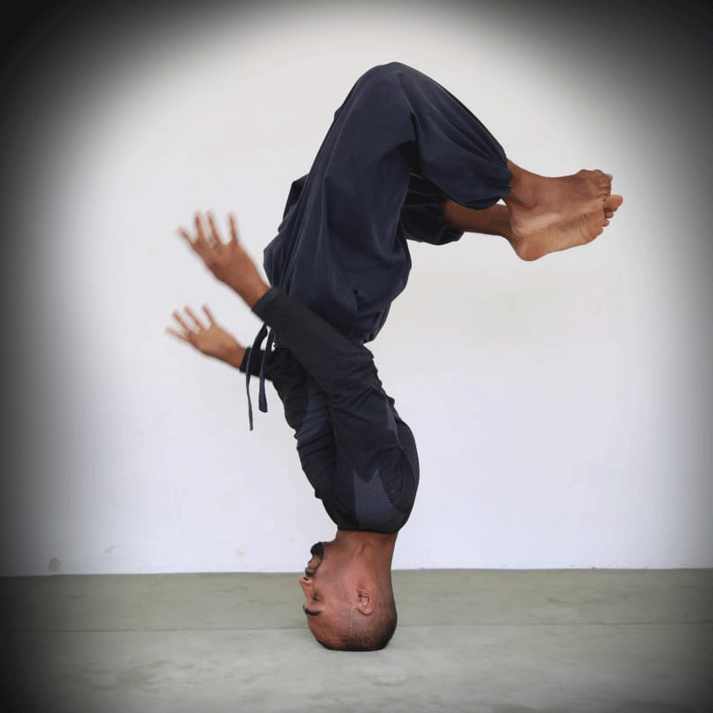 martial arts und kampfkunst festival berlin