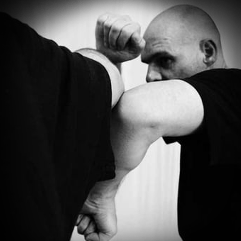 martial arts und kampfkunst festival berlin