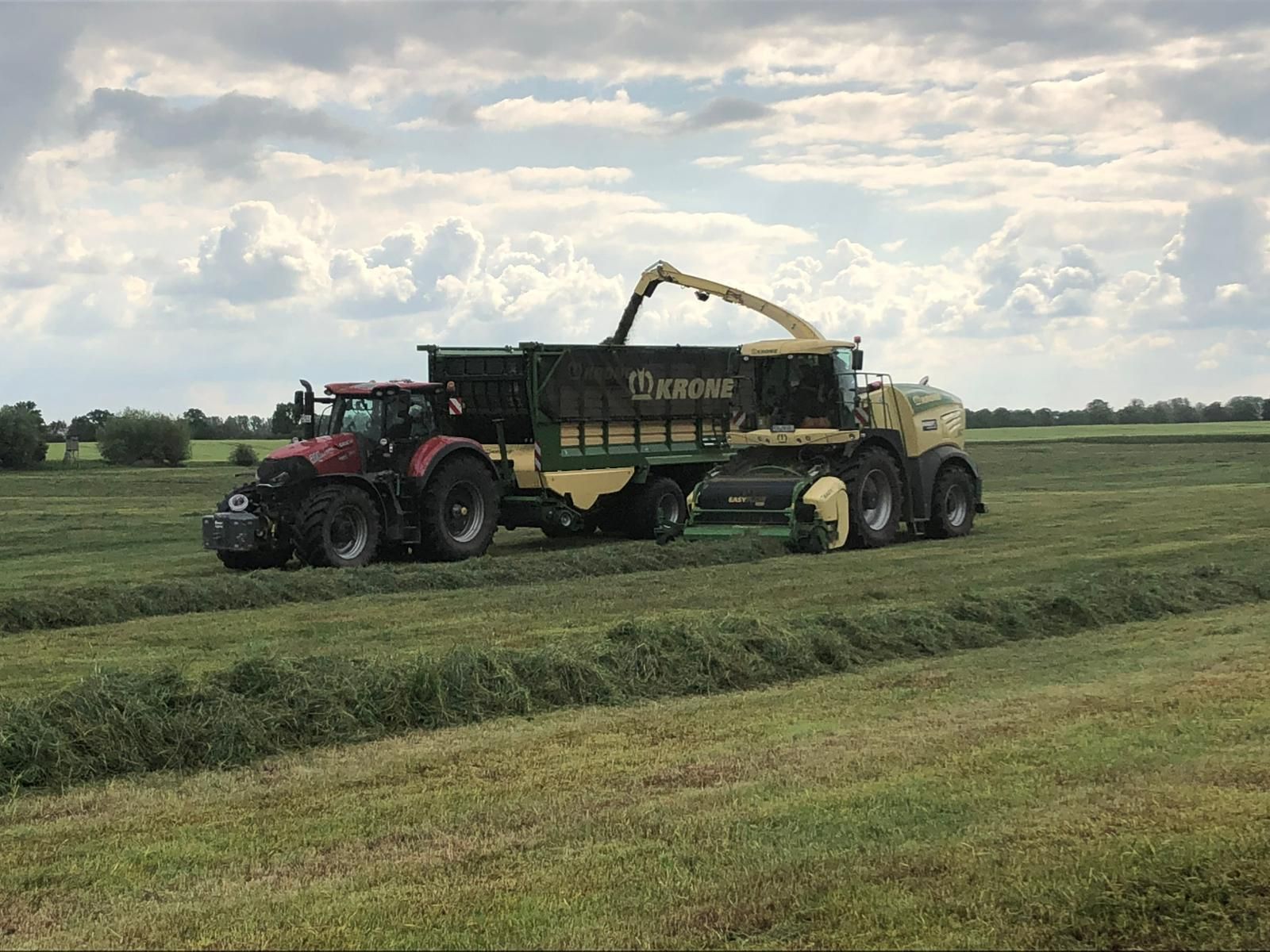 Krone Häcksler mit Krone Abfahrwagen, Gras Ernte Job für Fachkraft Agrarservice