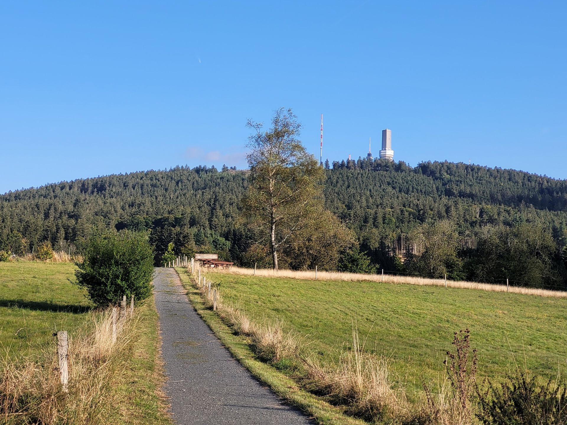 Blick auf den Großen Feldberg im Taunus nahe der Ferienwohnung – beliebtes Ziel zum Wandern & Natur erleben.