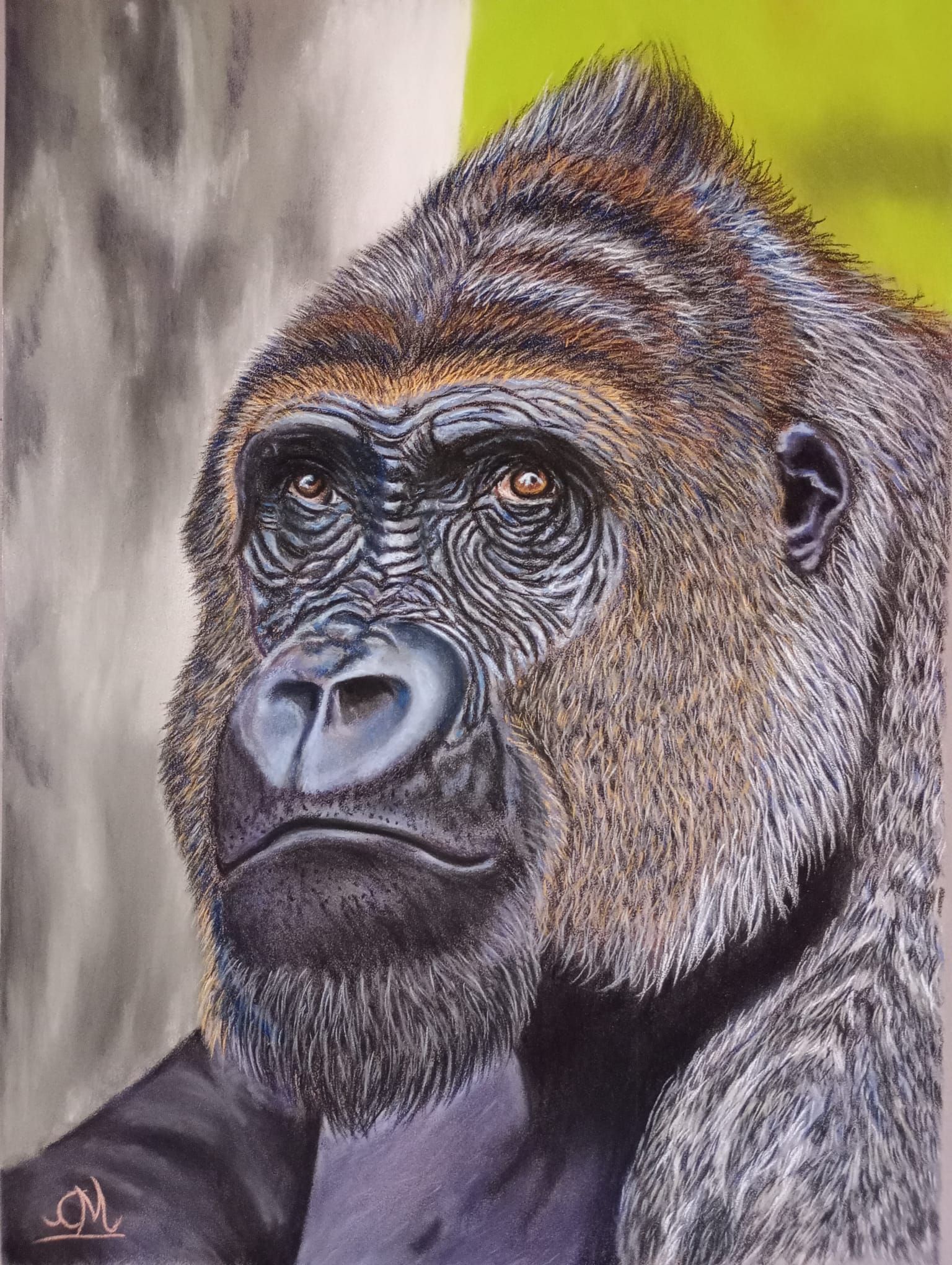 Porträt eines Gorillas mit nachdenklichem Ausdruck vor einem weichen, verschwommenen Hintergrund