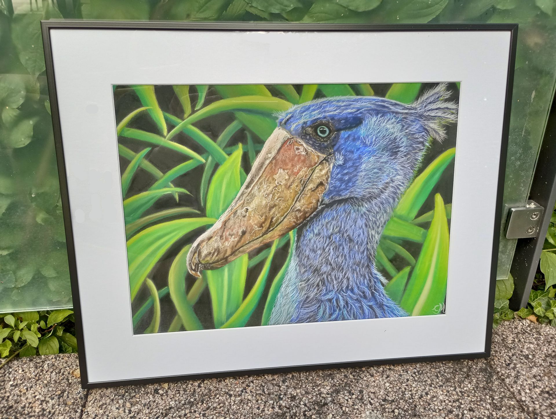 Gerahmtes Bild eines blauen Vogels mit großem, hellbraunem Schnabel vor grünen Pflanzen im Freien