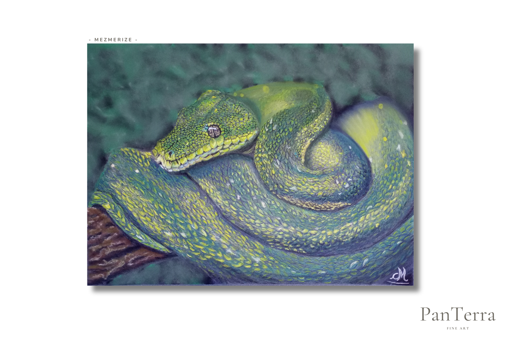 Eine grüne Schlange windet sich vor dunklem Hintergrund auf einem Ast und wirkt wie gemalt.