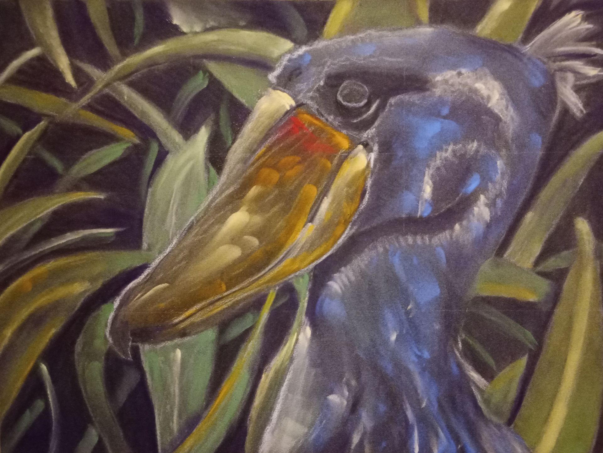 Nahaufnahme eines blauen Vogels mit gelb-orangem Schnabel vor grünen Pflanzen
