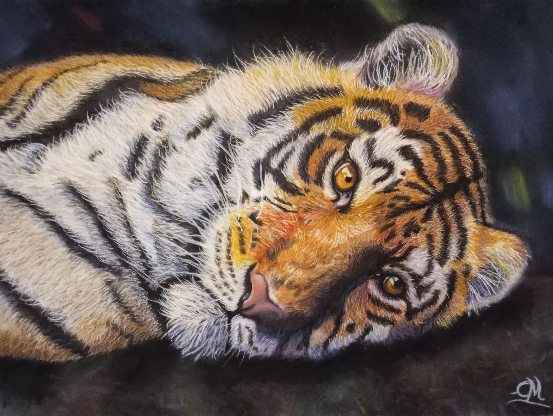 Schlafendes Tigerjunges mit schwarz-weißen Streifen und orangefarbenem Gesicht, liegend auf dunklem Hintergrund.