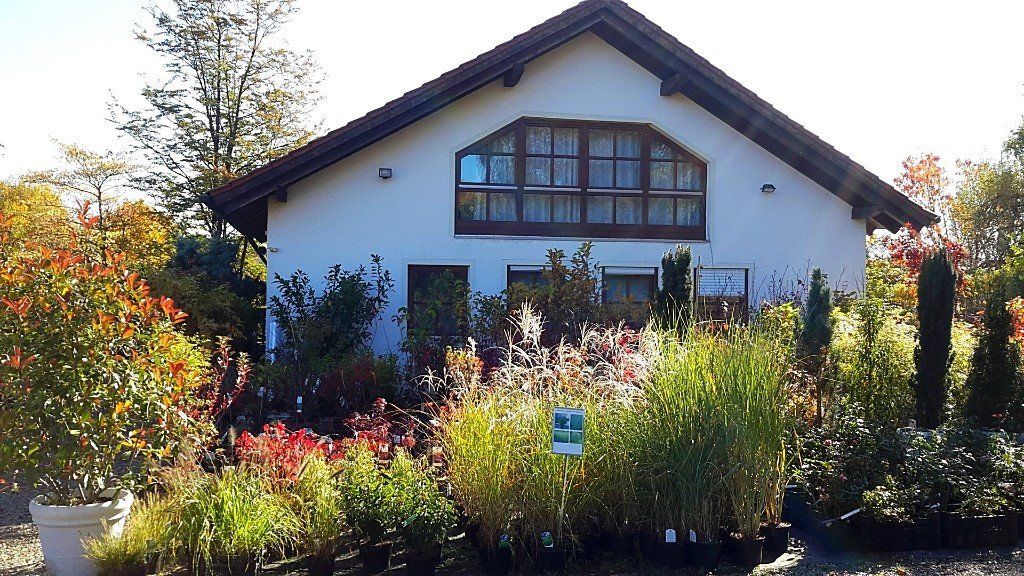 Baumschule Fischer Pfaffenhofen