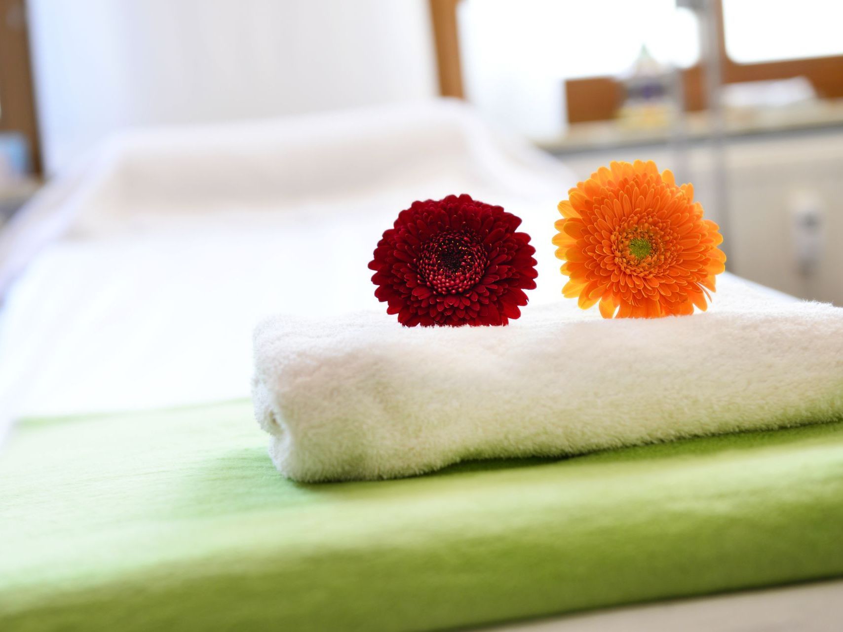 Heilpraktiker, Blutegeltherapie, Akupunktur, Moxa, Eigenbluttherapie, Altenburg, Meerane