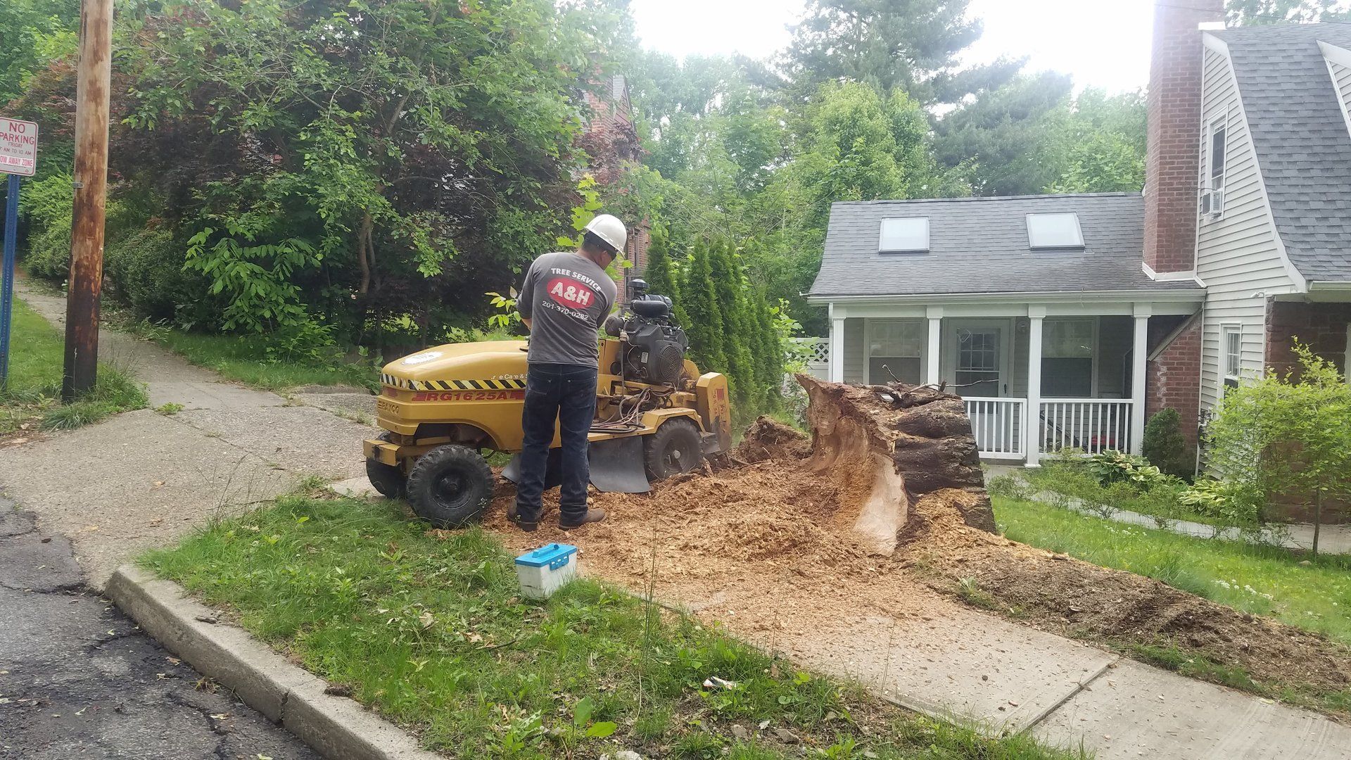 Large Tree Removal Services A&H Tree Service Bergen County, NJ
